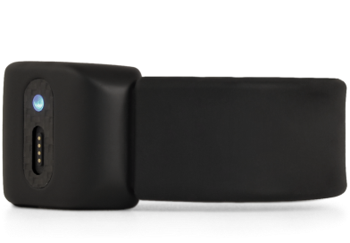 offenderwise gps device