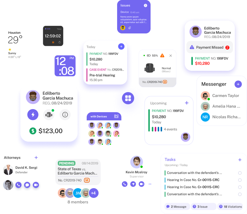Offenderwise features